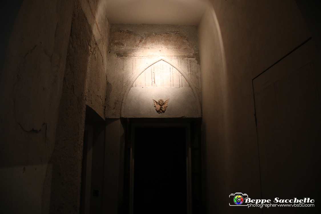 VBS_1268 - Castello di Miradolo - Mostra Oltre il giardino l'Abbecedario di paolo Pejrone.jpg